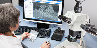 Makroskopie und Stereoskopie